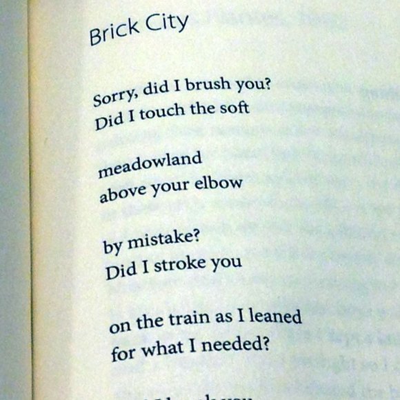 3 for $10 book  sale! Prose / Poetry, design by theresa burns - Picture 5 of 7